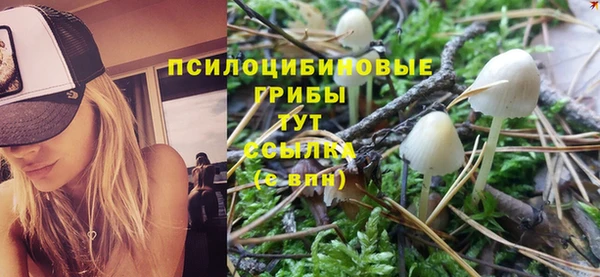 apvp Аркадак