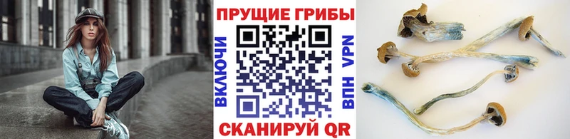 Галлюциногенные грибы Magic Shrooms  hydra ТОР  Урень 